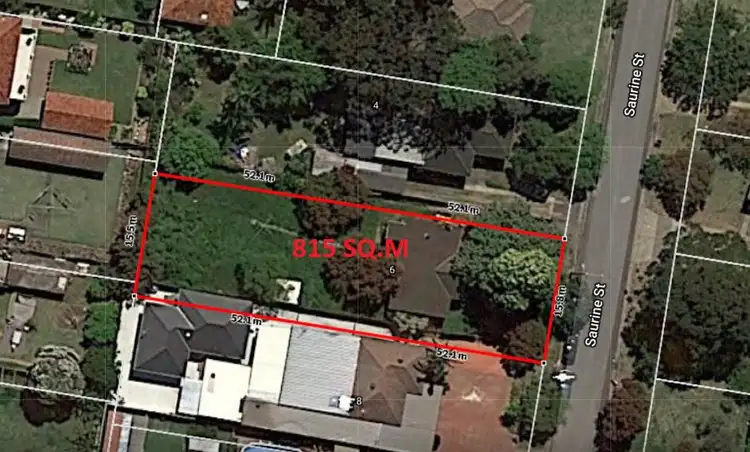 6 Saurine Street, Bankstown NSW 2200