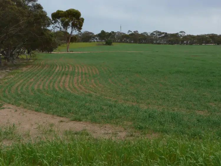 Second view of Homely land listing, Lots 91-101 Railway Terrace, Lameroo SA 5302