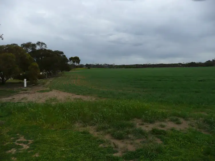 Fourth view of Homely land listing, Lots 91-101 Railway Terrace, Lameroo SA 5302