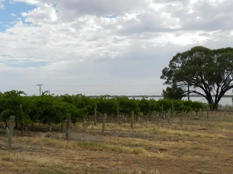 Fourth view of Homely rural property listing, 278 Kingston Road, Moorook SA 5332