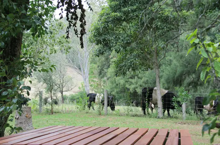 Sixth view of Homely house listing, 30 Nugents Creek Road, Kangaroo Valley NSW 2577