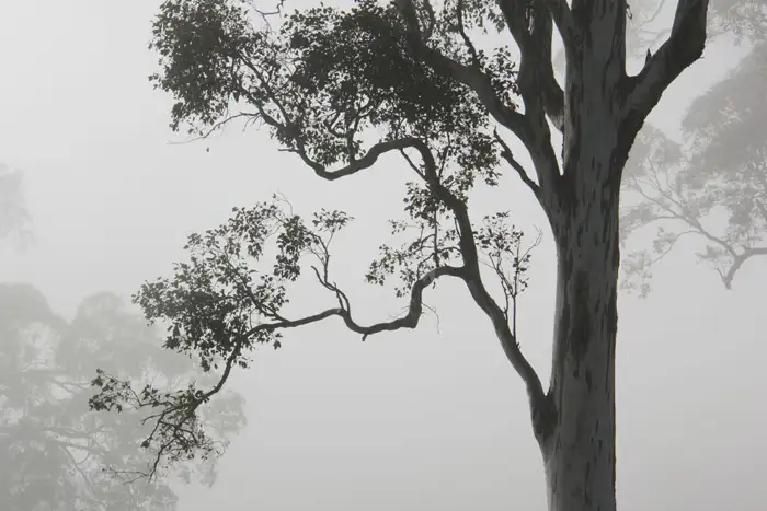 Seventh view of Homely house listing, 30 Nugents Creek Road, Kangaroo Valley NSW 2577