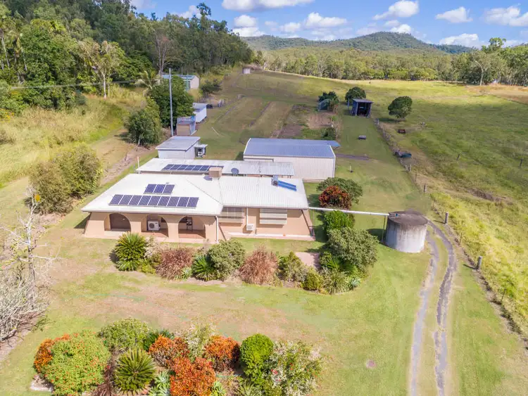 Fifth view of Homely rural property listing, 1723 Yakapari-Seaforth Road, Mount Jukes QLD 4740