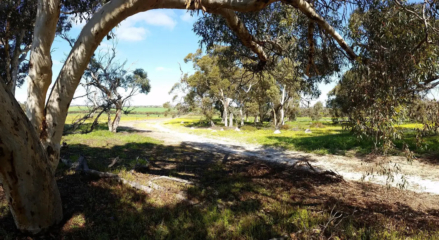 Main view of Homely rural property listing, 11243 Bilcabella Road, Doodenanning WA 6383