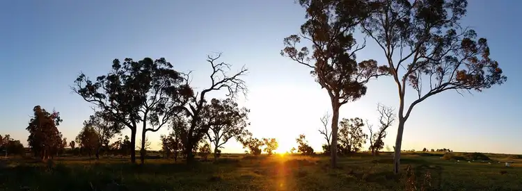 Second view of Homely rural property listing, 11243 Bilcabella Road, Doodenanning WA 6383