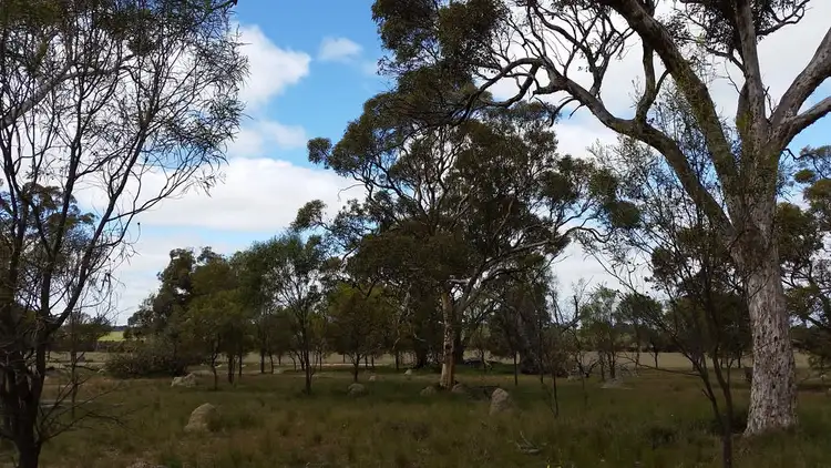 Sixth view of Homely rural property listing, 11243 Bilcabella Road, Doodenanning WA 6383