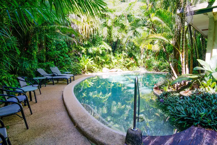 Sixth view of Homely other listing, 336 (1437) Cape Trib Road, DAINTREE MOTEL, Daintree QLD 4873