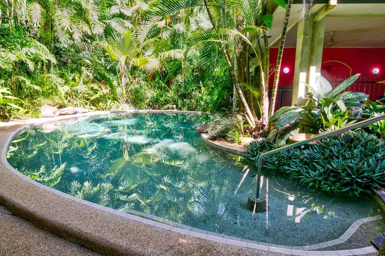 Seventh view of Homely other listing, 336 (1437) Cape Trib Road, DAINTREE MOTEL, Daintree QLD 4873