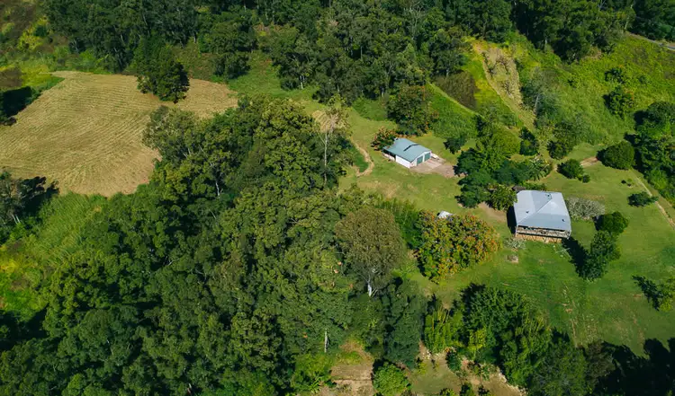 Main view of Homely house listing, 51 CITRUS ROAD, Palmwoods QLD 4555