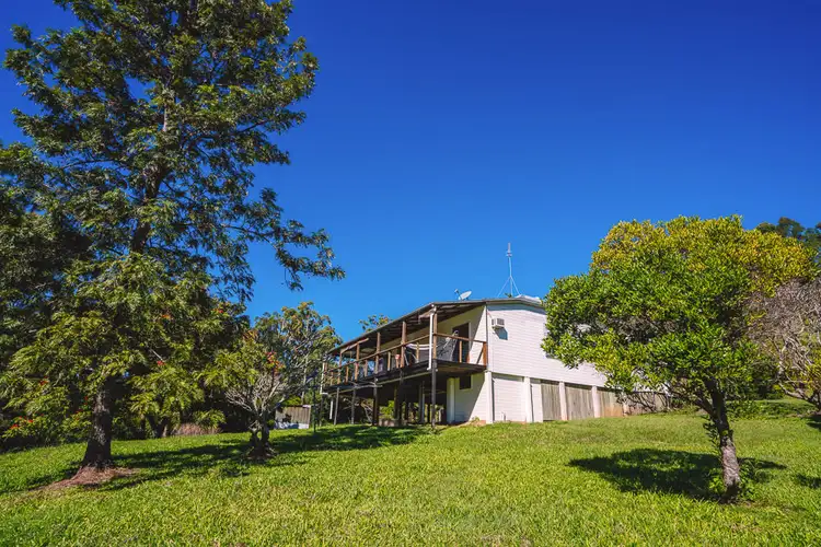 Second view of Homely house listing, 51 CITRUS ROAD, Palmwoods QLD 4555