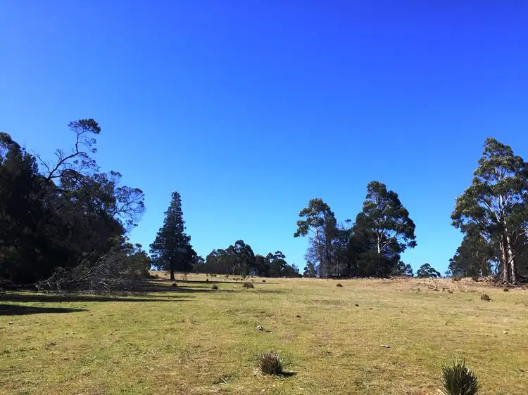 Main view of Homely rural property listing, Lot 1 Bresnehans Road, Little Swanport TAS 7190