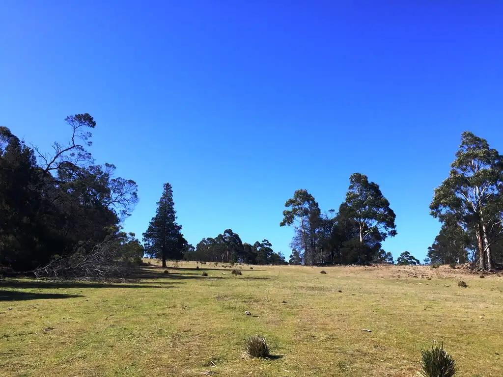 Main view of Homely rural property listing, Lot 1 Bresnehans Road, Little Swanport TAS 7190