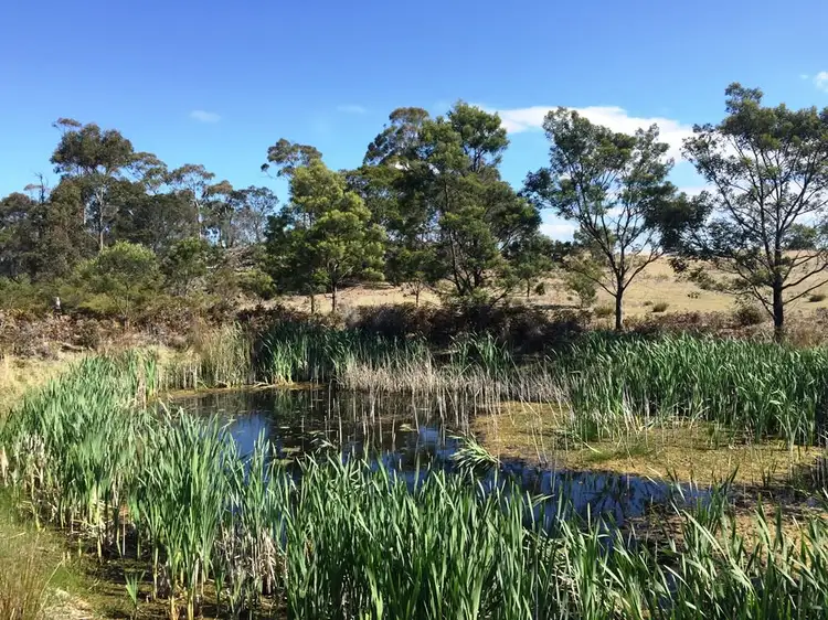 Sixth view of Homely rural property listing, Lot 1 Bresnehans Road, Little Swanport TAS 7190