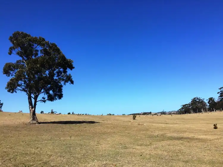 Seventh view of Homely rural property listing, Lot 1 Bresnehans Road, Little Swanport TAS 7190