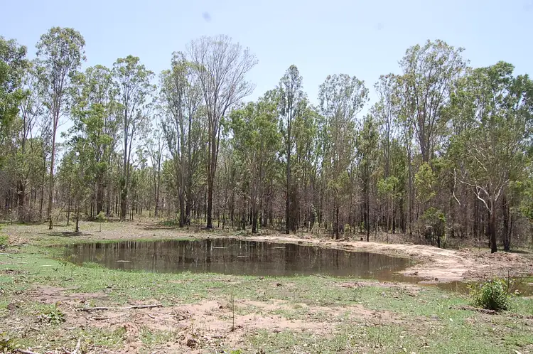 Main view of Homely rural property listing, Lot 5, 785-865 Busbys Flat Road, Leeville NSW 2470