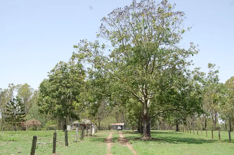 Main view of Homely rural property listing, Lot 3, 785-865 Busbys Flat Road, Leeville NSW 2470