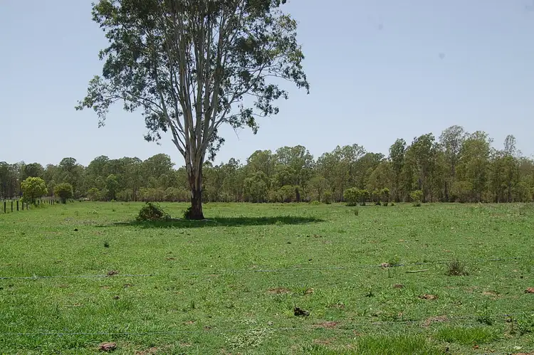 Fifth view of Homely rural property listing, Lot 3, 785-865 Busbys Flat Road, Leeville NSW 2470