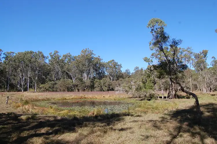 Seventh view of Homely rural property listing, Lot 3, 785-865 Busbys Flat Road, Leeville NSW 2470