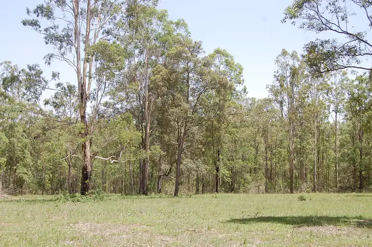 Fourth view of Homely rural property listing, Lot 2, 785-865 Busbys Flat Road, Leeville NSW 2470