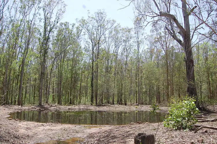 Seventh view of Homely rural property listing, Lot 2, 785-865 Busbys Flat Road, Leeville NSW 2470