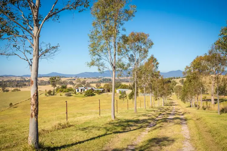 Second view of Homely rural property listing, 252 Kemps Lane, Kameruka NSW 2550