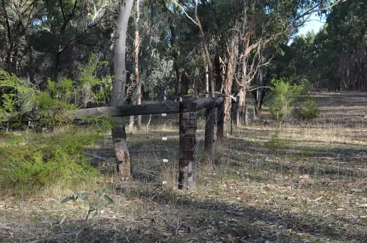 Sixth view of Homely rural property listing, Lot 21 & 23 Casterton-Edenhope Road, Edenhope VIC 3318