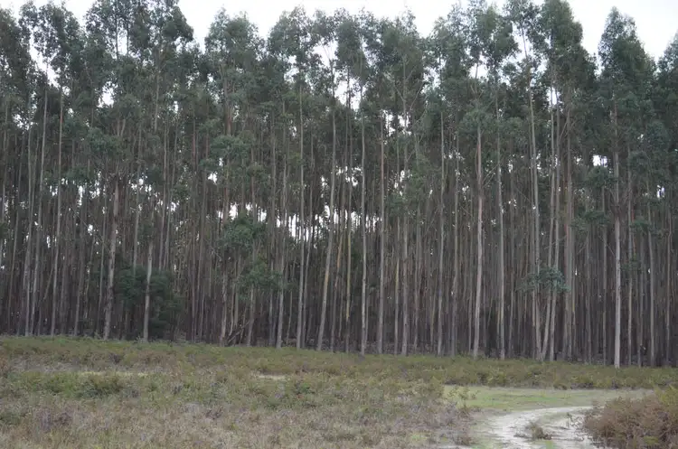 Seventh view of Homely rural property listing, Lot 21 & 23 Casterton-Edenhope Road, Edenhope VIC 3318