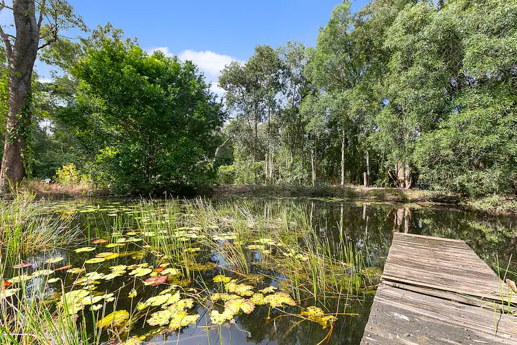 Third view of Homely house listing, 23 Tronson Road, Ringtail Creek QLD 4565