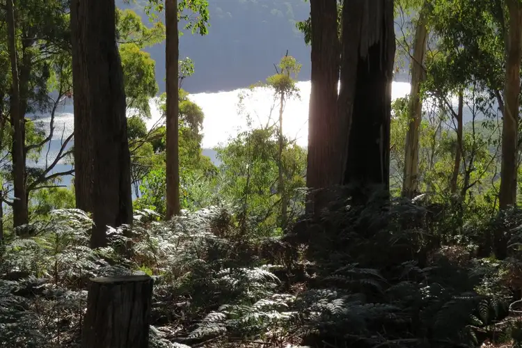 Sixth view of Homely rural property listing, . Staverton Road, Staverton TAS 7306