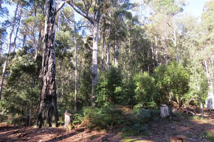 Seventh view of Homely rural property listing, . Staverton Road, Staverton TAS 7306