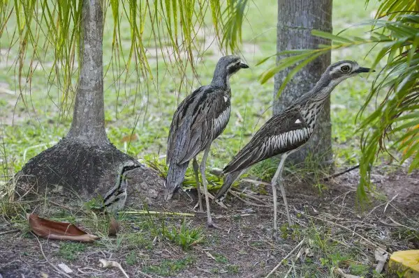 Seventh view of Homely land listing, 18 Compass Crescent, Nelly Bay QLD 4819