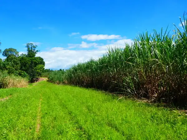 Seventh view of Homely rural property listing, Address available on request