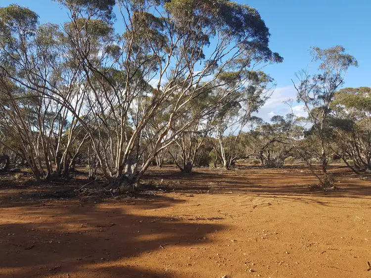 Seventh view of Homely land listing, Lot 264 Old Railway Road, Steinfeld SA 5356