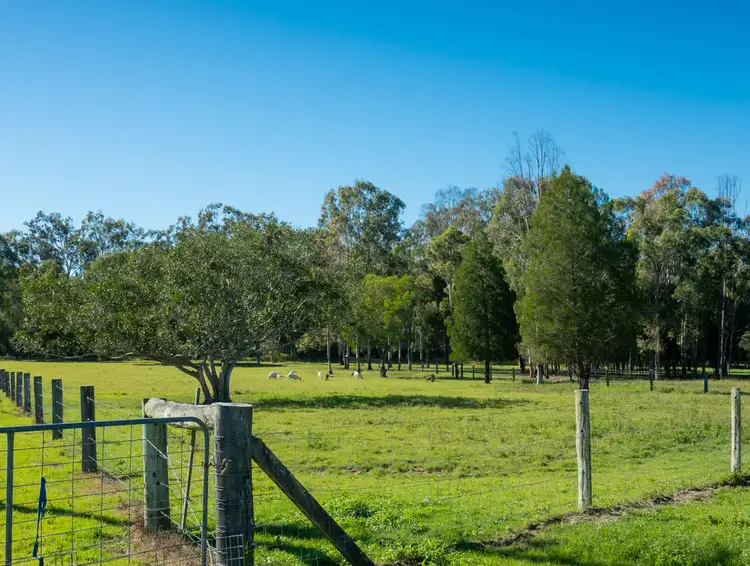 Fourth view of Homely rural property listing, 283 Beelbi Creek Road, Beelbi Creek QLD 4659