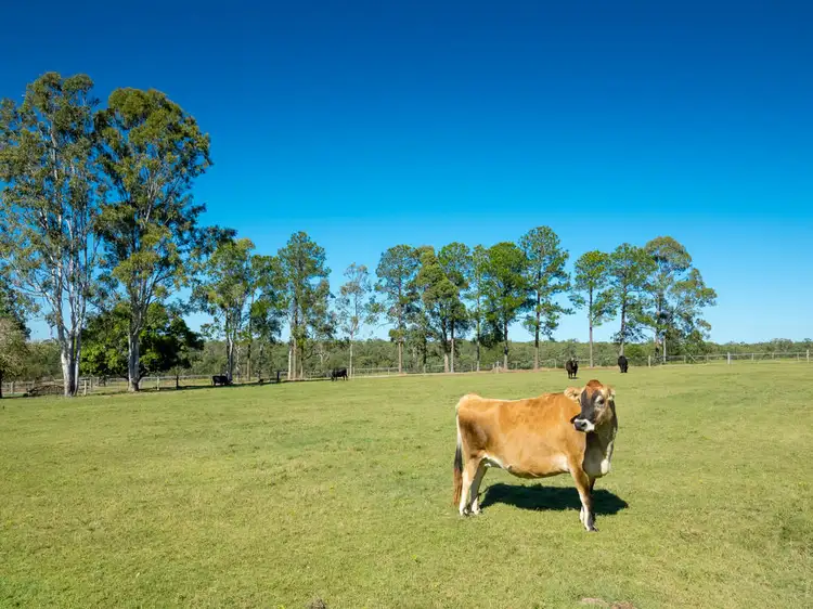 Fifth view of Homely rural property listing, 283 Beelbi Creek Road, Beelbi Creek QLD 4659