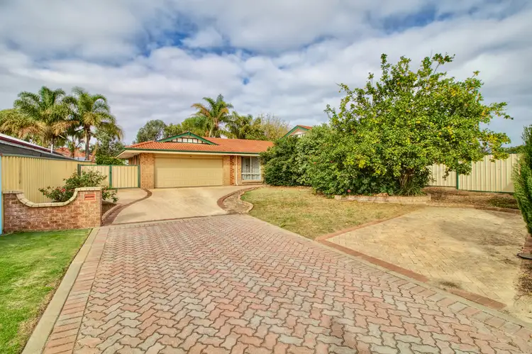 Main view of Homely house listing, 14 Rothesay Court, Cooloongup WA 6168