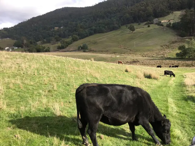 Fourth view of Homely land listing, 55 Barretts Road, Karoola TAS 7267