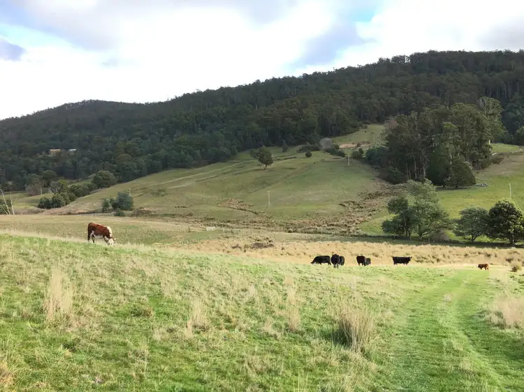 Sixth view of Homely land listing, 55 Barretts Road, Karoola TAS 7267