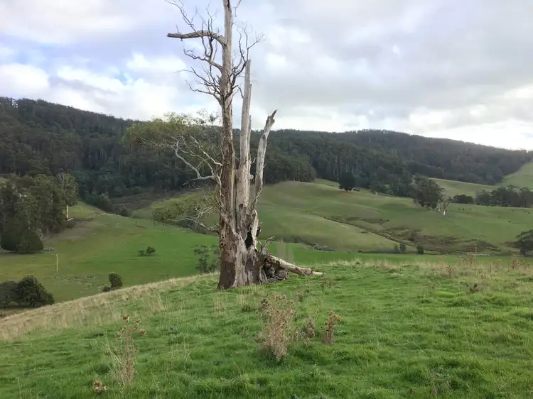 Seventh view of Homely land listing, 55 Barretts Road, Karoola TAS 7267