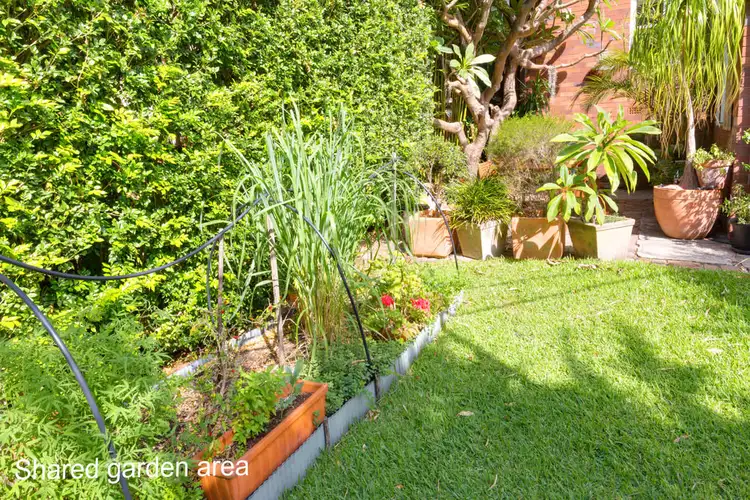 Sixth view of Homely apartment listing, 1/10 WOOLCOTT STREET, Waverton NSW 2060