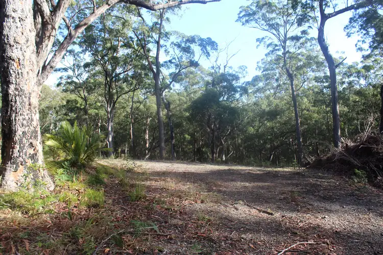 Sixth view of Homely land listing, 25 Sanctuary Forest Place, Long Beach NSW 2536