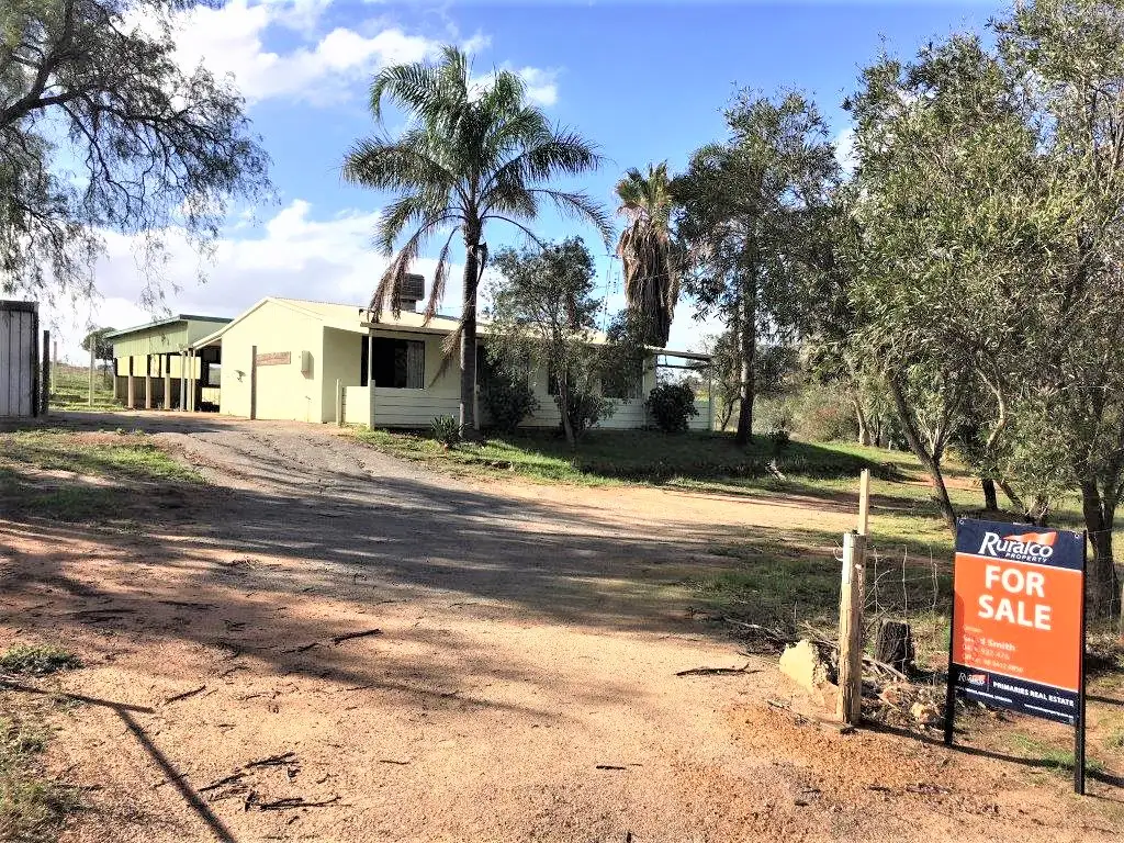 Main view of Homely house listing, 167 Stephen Street, Northampton WA 6535