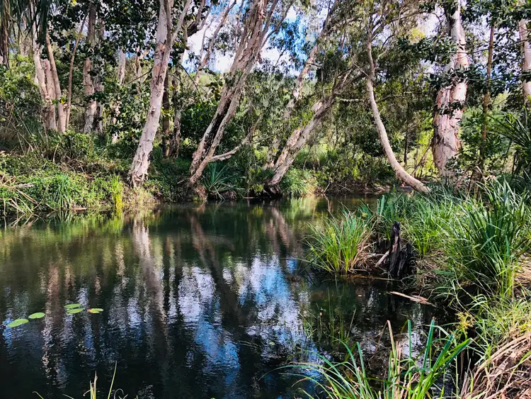 Sixth view of Homely land listing, 633 Barrett Road, Mutarnee QLD 4816