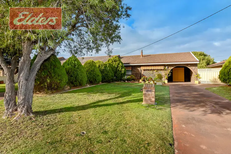 19a Jipse Cr, East Bunbury WA 6230