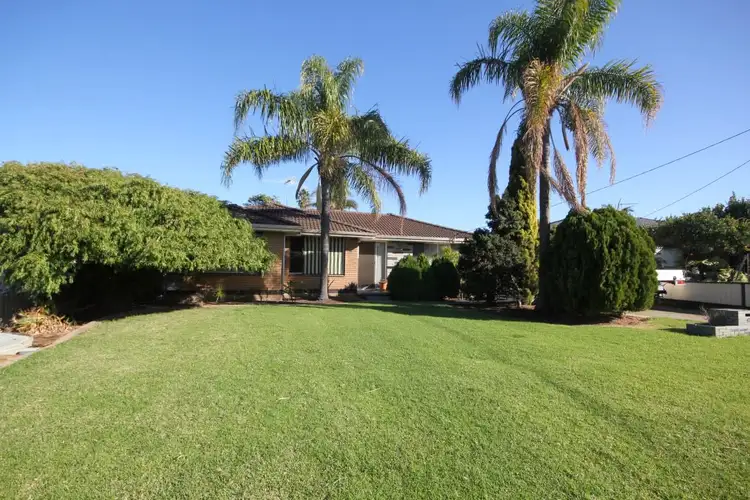 Main view of Homely house listing, 41 Norland Way, Spearwood WA 6163