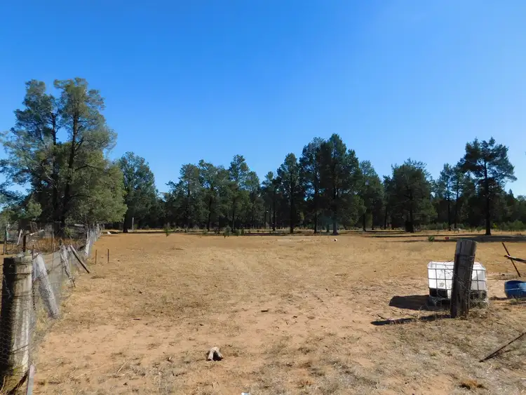 168 Namoi St, Baradine NSW 2396