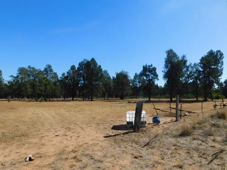 Second view of Homely land listing, 168 Namoi St, Baradine NSW 2396