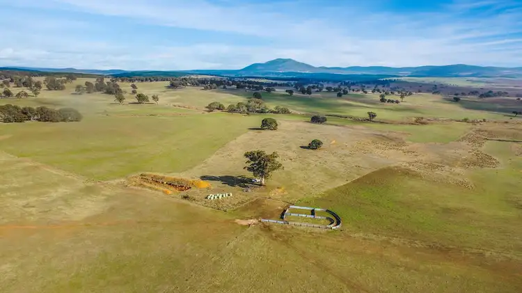 Fourth view of Homely rural property listing, 'WEEWALLA' 302 Craigie Range Road, Delegate NSW 2633