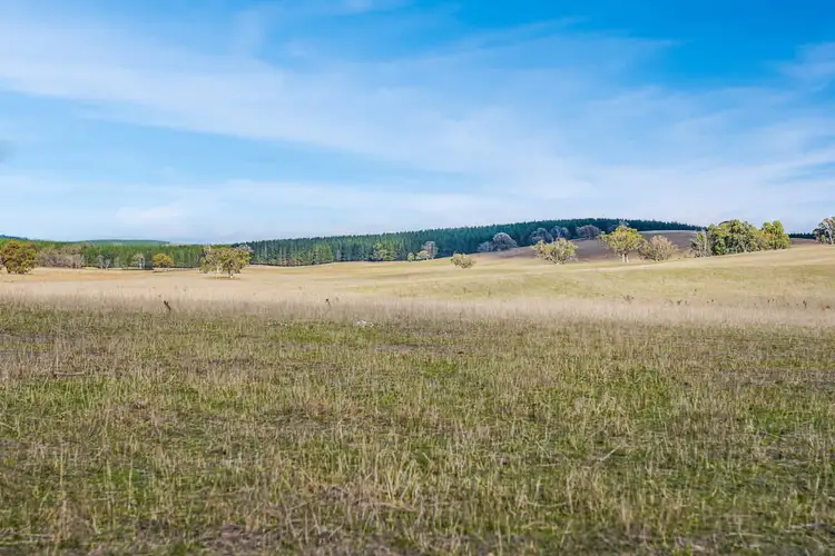 Sixth view of Homely rural property listing, 'WEEWALLA' 302 Craigie Range Road, Delegate NSW 2633