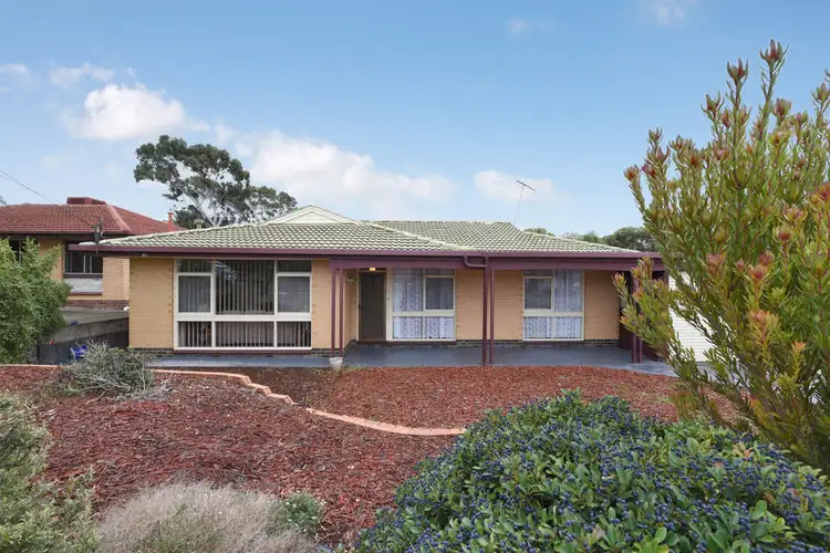 Main view of Homely house listing, 75 Teusner Drive, Morphett Vale SA 5162